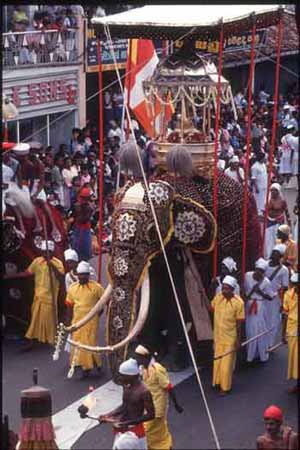 Kandy Day Perahera