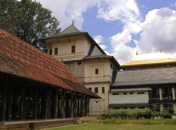 Tooth Temple